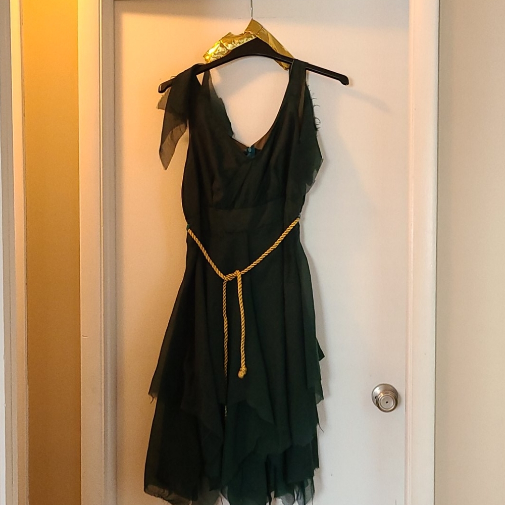 Handmaid green dress worn once for Halloween